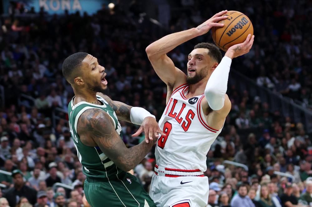 近年来他们 近年来他们